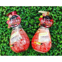 HẾT HÀNG - Bộ Gội Xả Trị Rụng Tóc Ayurbio Damaged Nhật Bản Dành Cho Tóc Dầu
