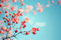 40 Copy of Ngũ Cốc Sấy Khô Calbee đỏ