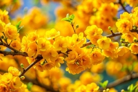40 Copy of Ngũ Cốc Sấy Khô Calbee đỏ